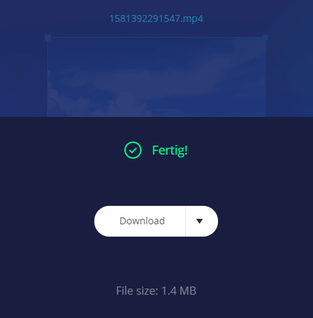 Methode 2. Das Seitenverhältnis durch Online-Tool ändern - Schritt 3.