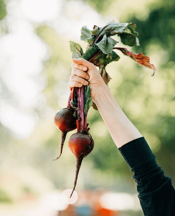 Los 6 mejores convertidores de velocidad de fotogramas de vídeo para Windows y Mac