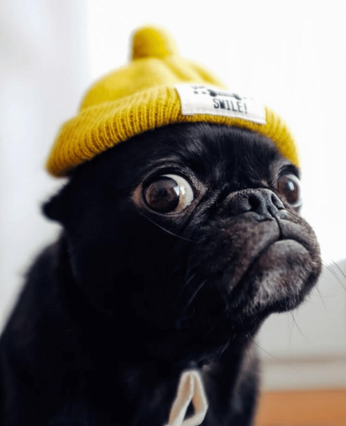 Cómo convertir vídeos de Netflix a MP4 en Windows y teléfono