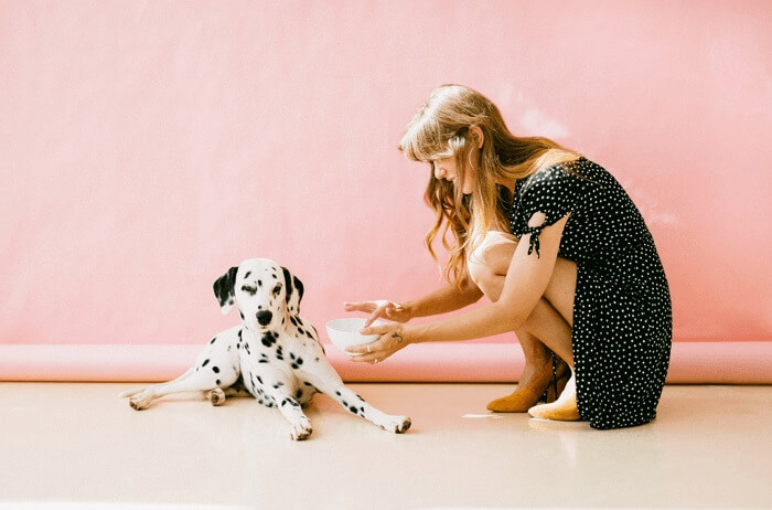 Cómo convertir MP4 a MPG sin pérdida de calidad