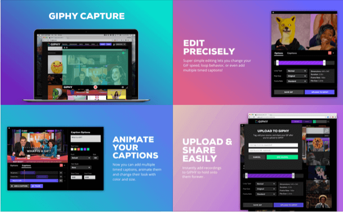Video to GIF - Quickly & Easily Turn Your Video into a GIF