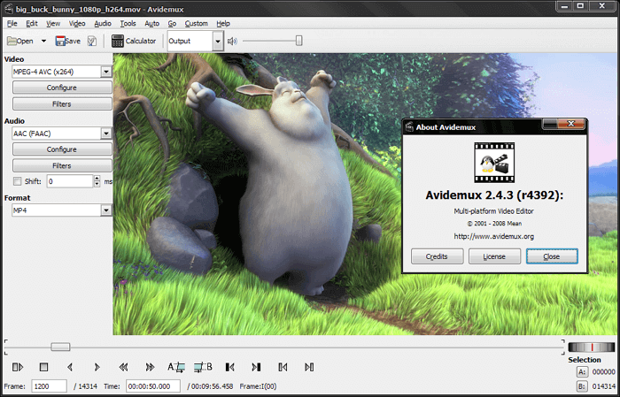Avidemux