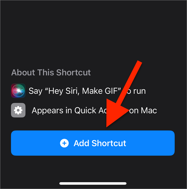 Top 5 Solutions to Convert Video to GIF on iPhone