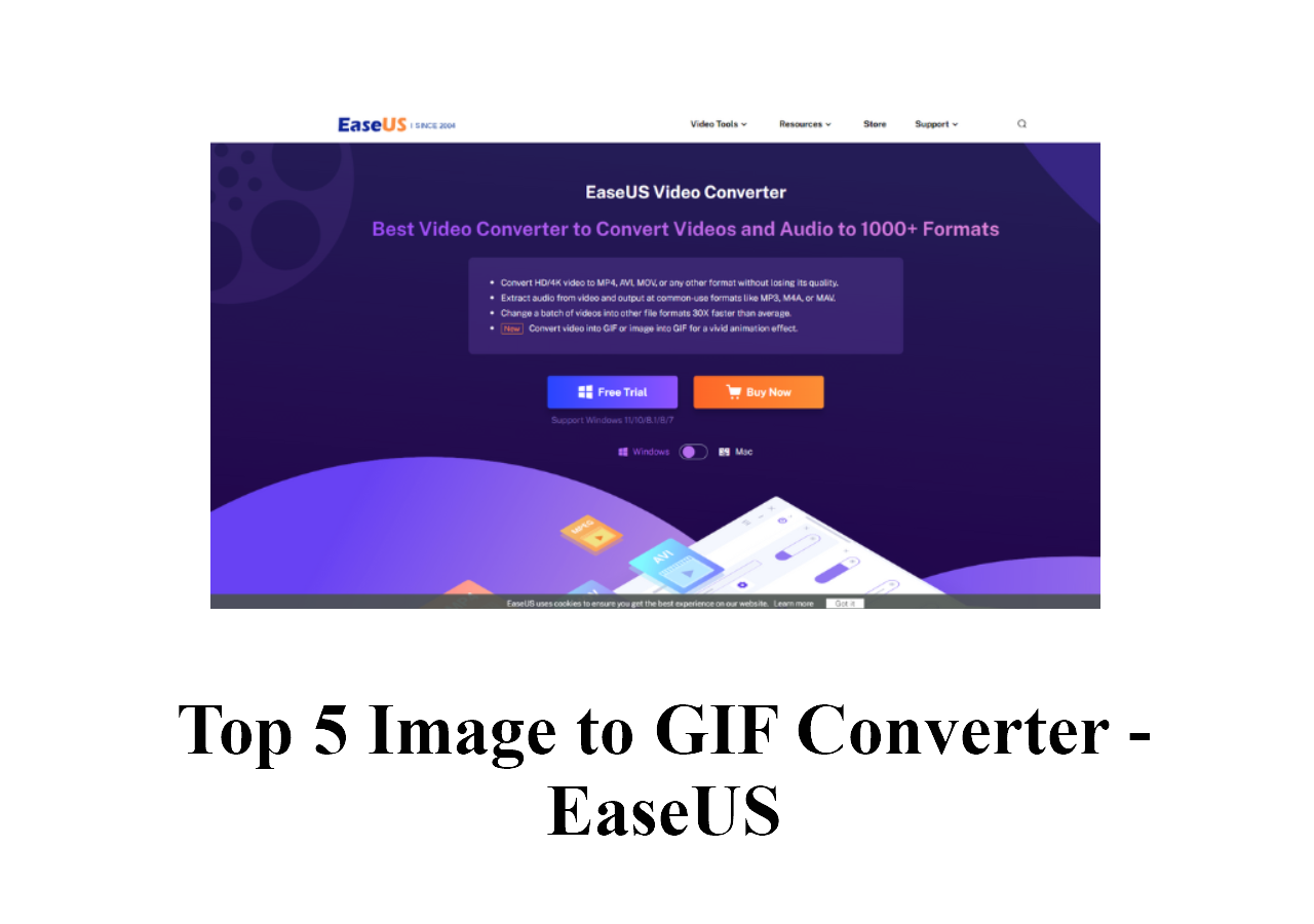 Top 5 GIF to WebM Converters Available to Windows, Mac and Online