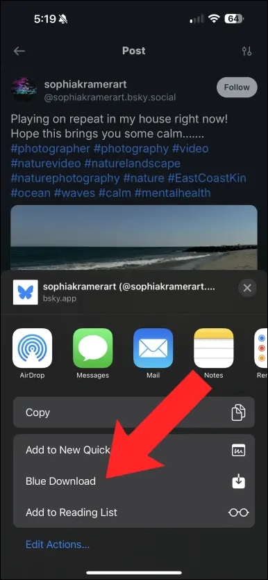 bluesky-video-download-extension-ios.jpg