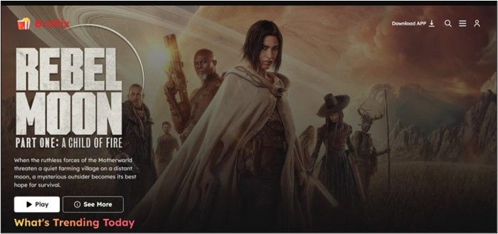 braflix-homepage.jpg