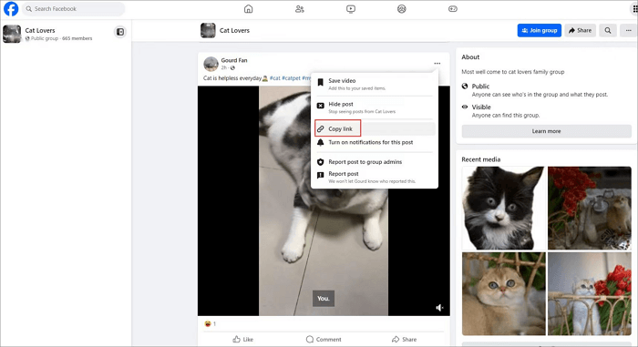 copier le lien vidéo