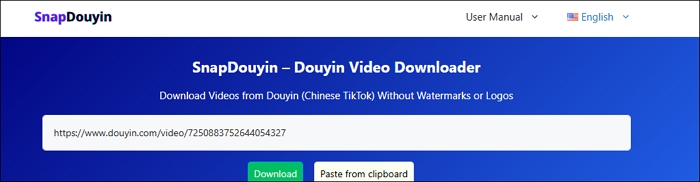 douyin-video-download-snapdouyin-2.jpg