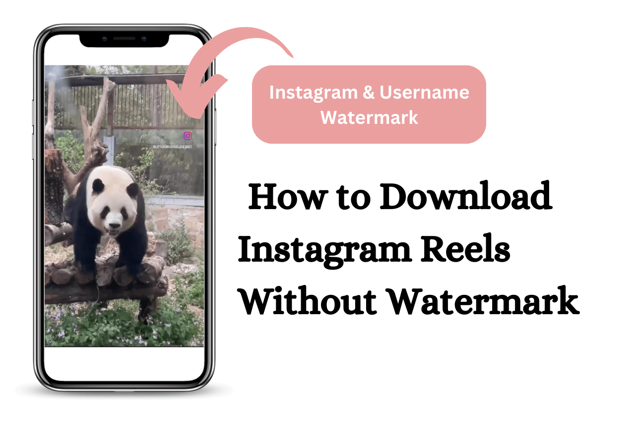 How to Download Reels Without Watermark📍No Instagram Logo