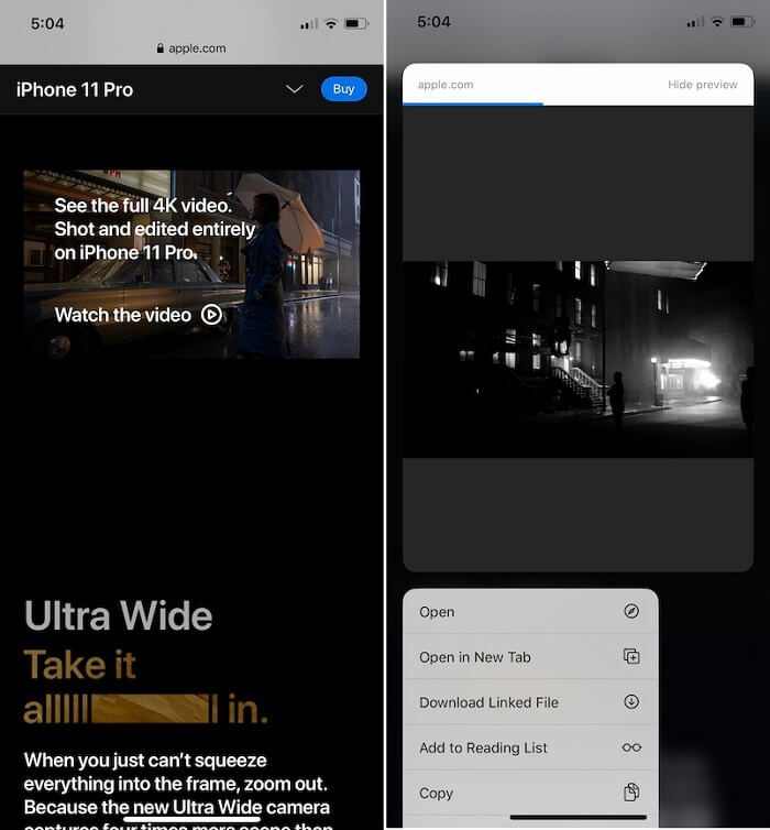 download videos from safari