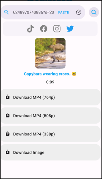 格式選擇選項 idownloader