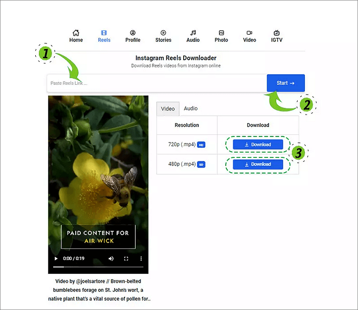 3 Ways to Download Instagram Reels Audio in 2024 EaseUS