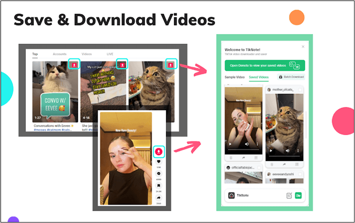 salve e baixe-tiktok-video-extension.png