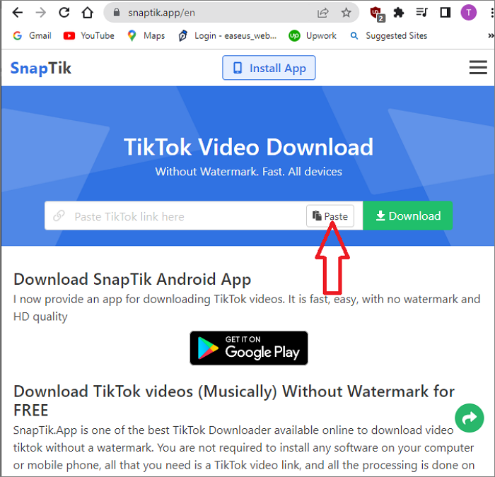 TikTok Video Downloader Online