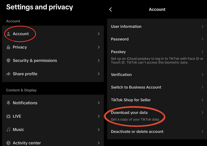 tiktok-download-your-data.png