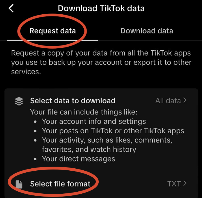 tiktok-request-data.png