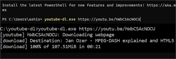 스트리밍 비디오 다운로드
