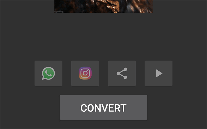 2023  How to Convert GIF to Video for Instagram on Windows, Mac