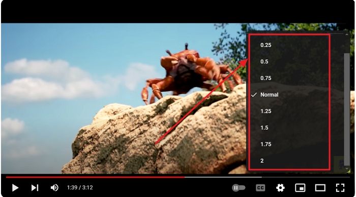 更改 YouTube 上的影片播放速度