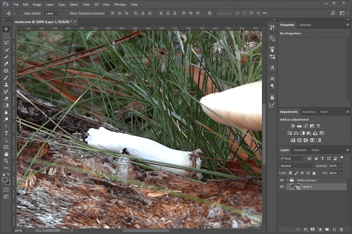 aprire il video su Photoshop