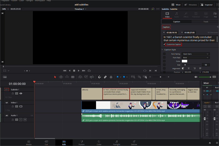 How to Add Subtitles in DaVinci Resolve 2024 Easy Way