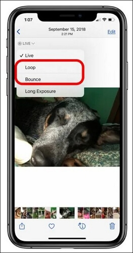 Como transformar Live Photos em GIFs usando o Atalhos [iPhone e