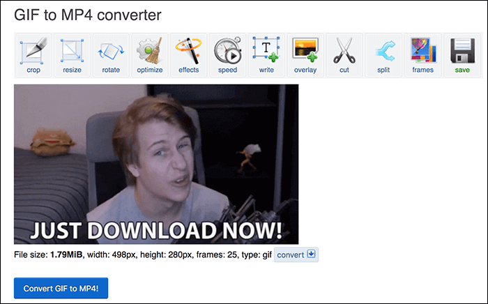 2023  How to Convert GIF to Video for Instagram on Windows, Mac