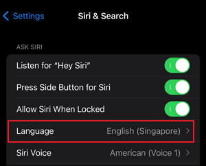 change-siri-voice-iphone-language.png