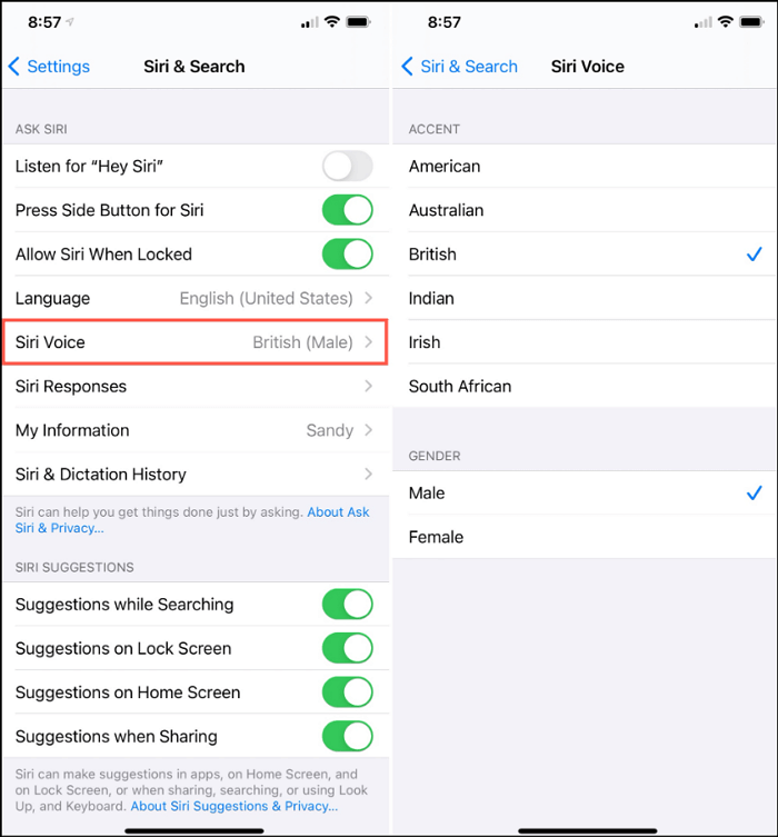 change-siri-voice-to-male-female.png