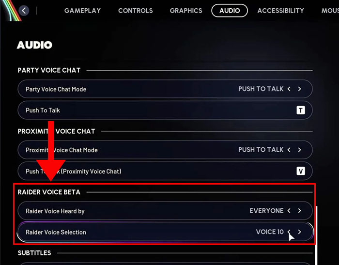 raider voice settings