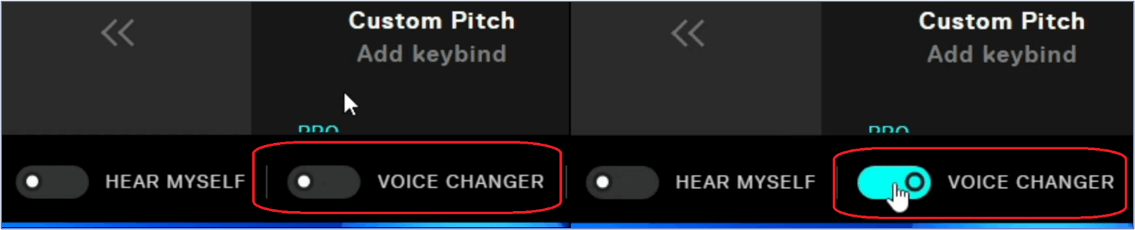 Option Sprachwechsler