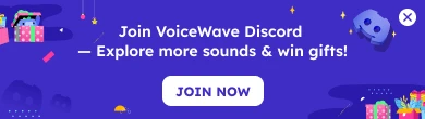 Voice Changer Footer