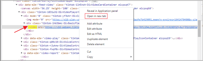 サイトからTikTokビデオをダウンロード-2